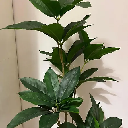 Workation, Centre, 4-5 Persons 3-4 Nights Offer, Nature Park Metro 1min , 15 Min Palac Kultury, Balcony, Quiet, Easy Parking Chroniony Appartement